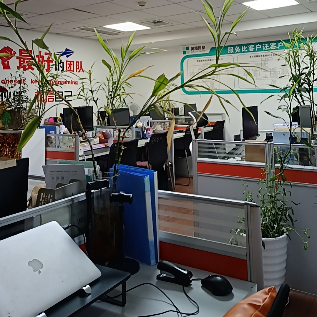 工业品网络营销这行当，让我深陷其中