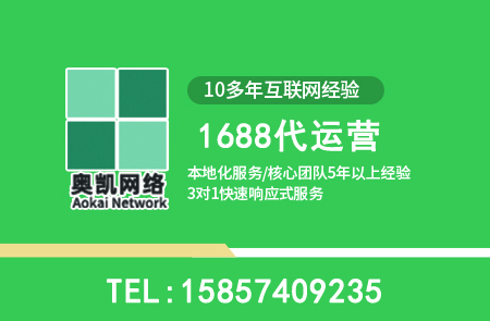 宁波奥凯1688代运营服务体系深度测评